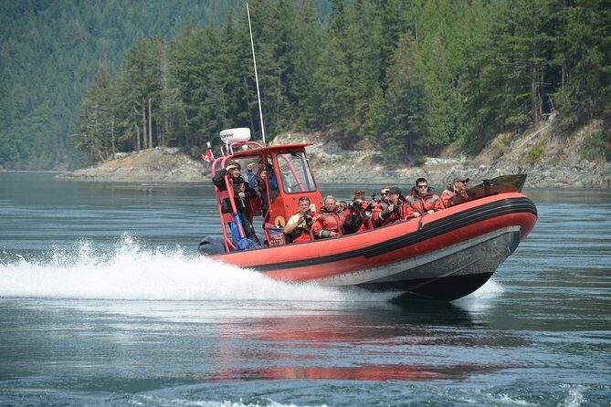 7-8 Hour Zodiac Whale Watching Tour - Who Will Love This Tour?
