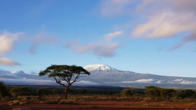 7-day climb of Kilimanjaro - Rongai route - What to Expect and Practical Tips