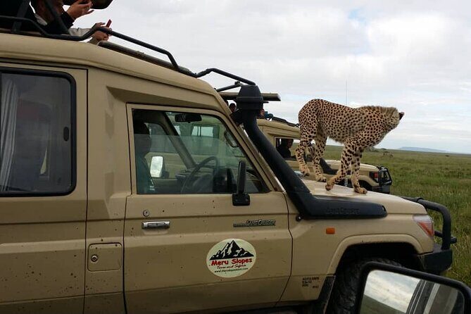7-Day Group Camping Tarangire/Serengeti/Ngorongoro/lake Manyara - Day-by-Day Breakdown