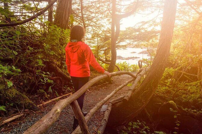 7 Day Guided Small Group Tour On Vancouver Islands West Coast - Day 3: Flexible Adventures in Pacific Rim National Park
