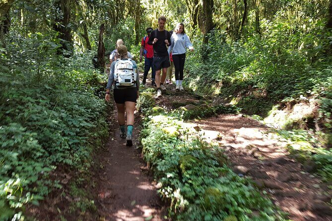 7-Day Mountain Climbing in Machame Route - What Makes This Tour Stand Out?