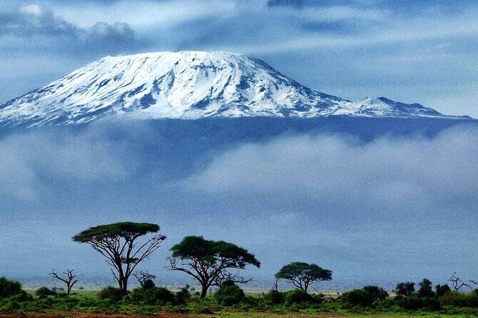 7-Day Mt. Kilimanjaro Hiking: Machame Route - Who Should Consider This Tour?