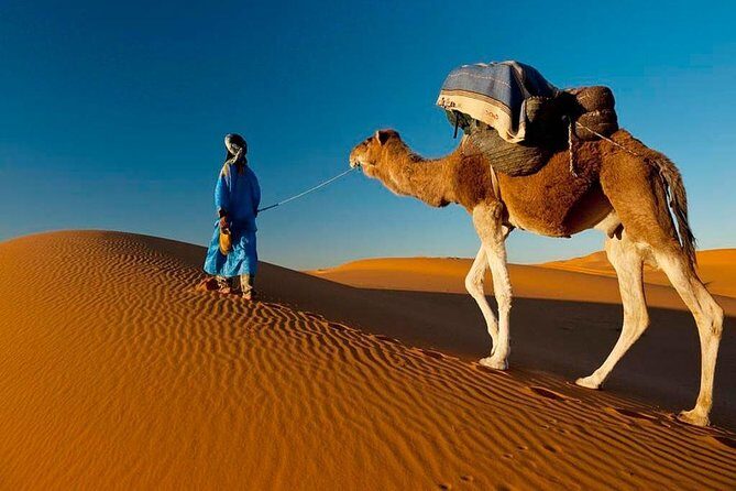 7-Day Private Guided Cultural Tour of Morocco from Casablanca - Who Would Love This Tour?