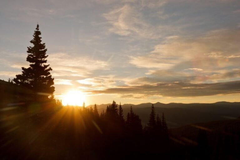 7-Day Yellowstone National Park Rocky Mountain Explorer - What to Expect from the Tour