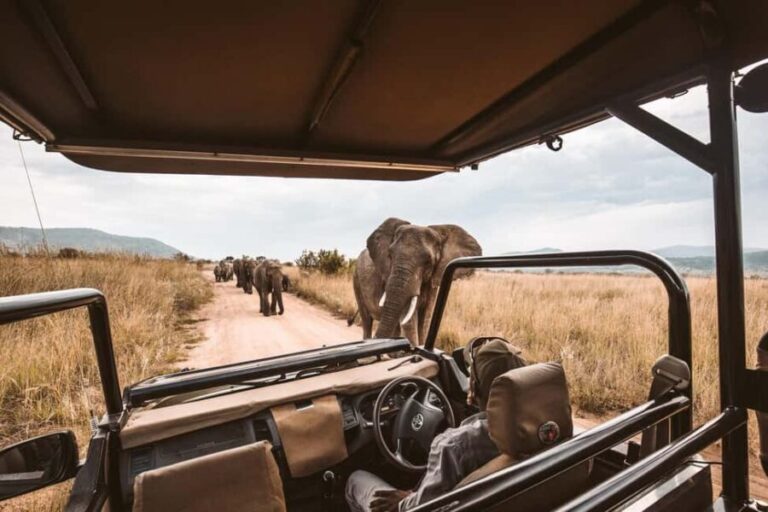 7 Days Kenya Wildlife Safari and Diani Beach Safari - The Practicalities: What’s Included and What to Consider