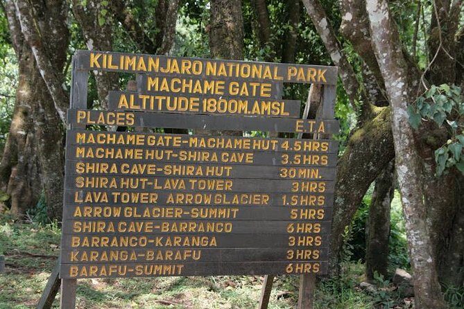 7 Days Machame Route - Who Should Consider This Tour?
