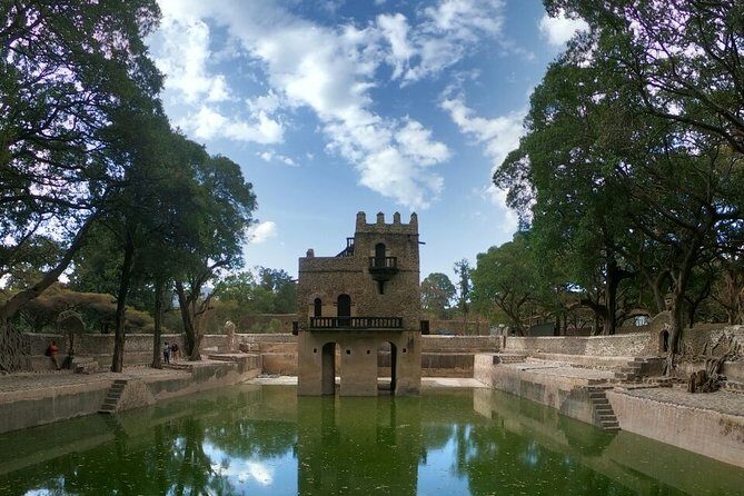 7 Days Northen Ethiopia Tour - Day 4: Encounter with Nature and Wildlife
