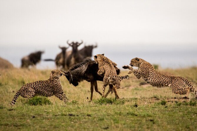 7 Days Northern Luxury Safari - What Makes This Safari Stand Out?