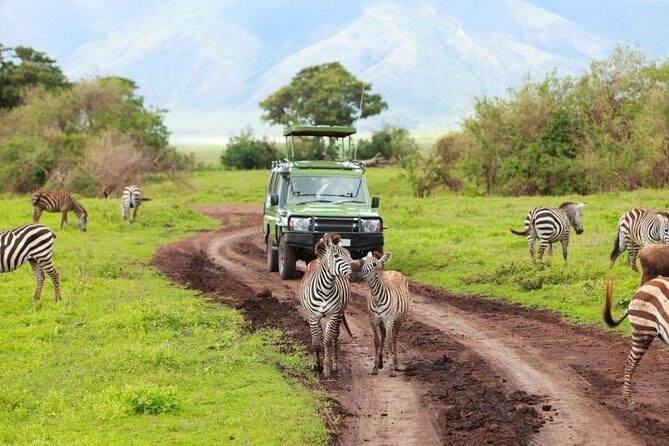 7-Days Private Midrange Safari; Serengeti & Ngorongoro Crater - Who Will Love This Safari?