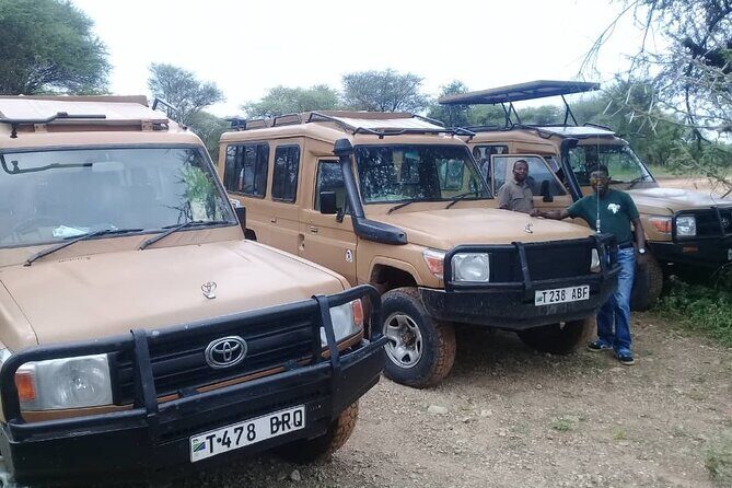 7 Days Tanzania Mid-range lodge safari - Day-by-Day Breakdown: What to Expect