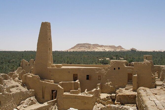 7 Days Tour to Siwa Oais and Alexandria from Cairo - Why This Tour Offers Real Value