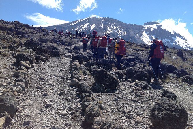 7 days_Mount kilimanjaro Hiking Lemosho Route - Authentic Feedback from Past Climbers