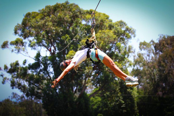 7-Line Maui Zipline on the North Shore - The Zipline Circuit