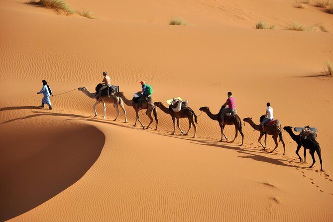 7 Night Sahara Caravan Road - Who Will Love This Tour?