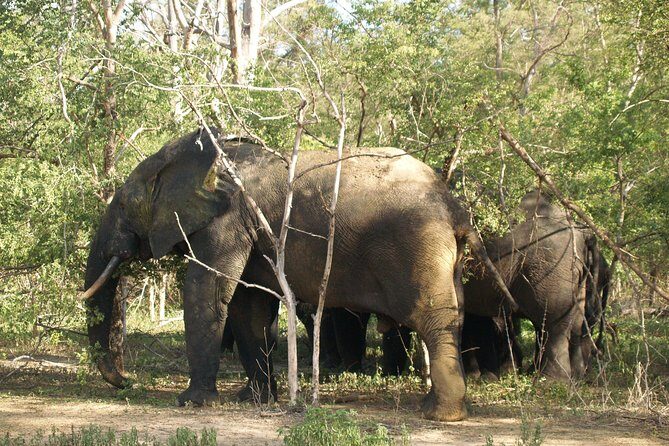 7days/6nights Eco Tourism - Practical Aspects and Value
