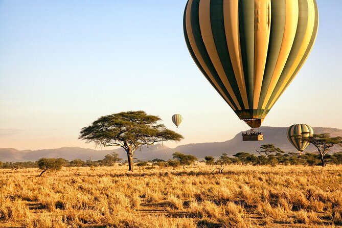 8 Day private wildebeest migration safari Serengeti Ngorongoro - Who Will Love This Tour?