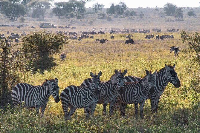 8 Day Safari The Best of Tanzania & Lake Eyasi - Who Will Love This Safari?
