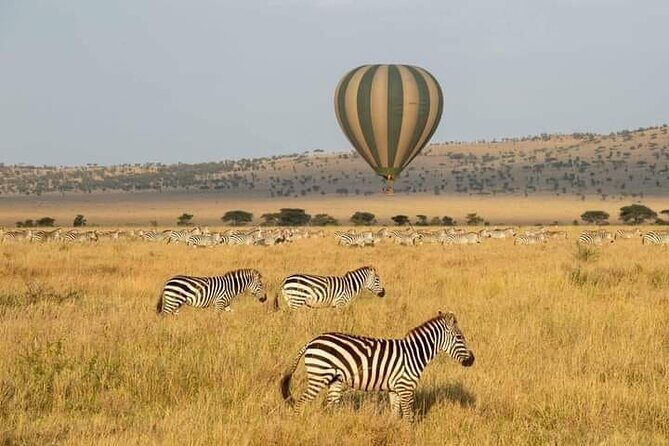 8 Days Follow the Wildebeest Migration River Crossing Safari - Who Will Love This Safari?