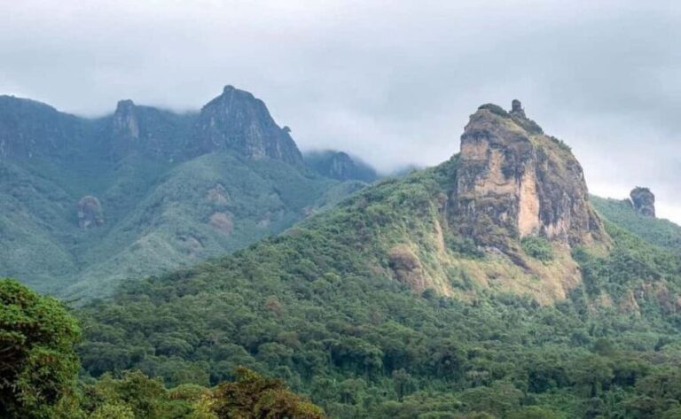 8 Days Harar, bale mountain and Awash safari tour. - What Does the Price Cover and What’s Not?