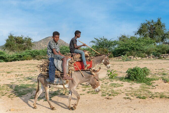 8 Days in Eritrea Asmara Ancient Sites and Red Sea Paradise - Why This Tour Stands Out