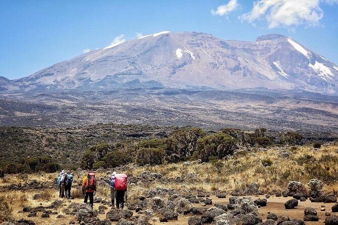 8 Days Lemosho Route Kilimanjaro Trekking - The Climbing Phases: From Lava Towers to Barranco