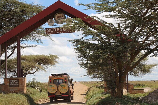 8 Days Tanzania Simba Luxury Safari - The Experience in Detail