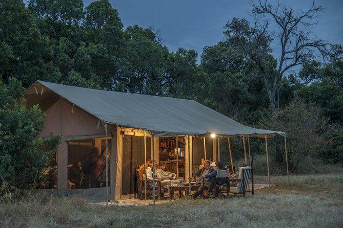 8 Days Tanzania Wildlife Safari Experience - Detailed Breakdown of the Itinerary