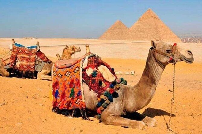 8 Days,Cairo,Alexandria,Aswan,Luxor,Cruise, Abu Simbel,From Cairo By Plane - A Close Look at the Itinerary