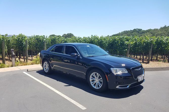 8 Hour Custom Wine Country Tour - The Experience: What Travelers Say