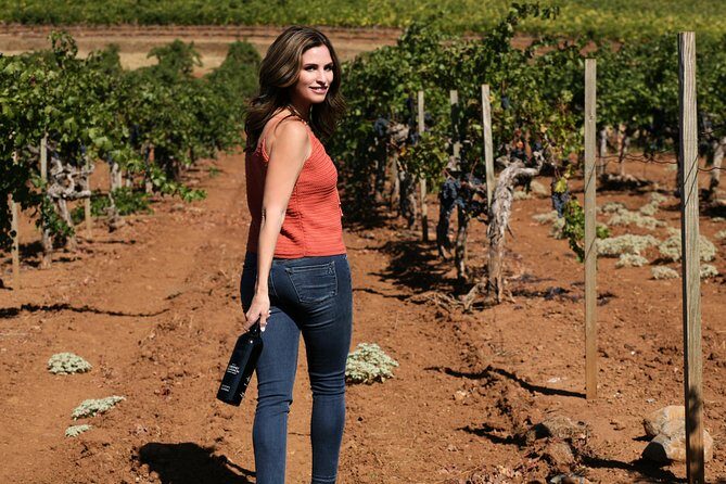 8-Hour Exclusive Wine Tour Experience for up to 6 Guests / Napa-Sonoma - FAQ