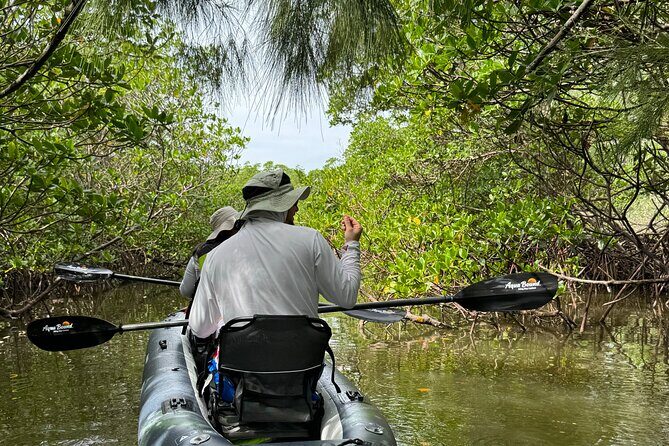 8-Hour Jungle Tour and Lagoon Passage to the Ocean in Fort Pierce - The Itinerary: What to Expect on This Excursion