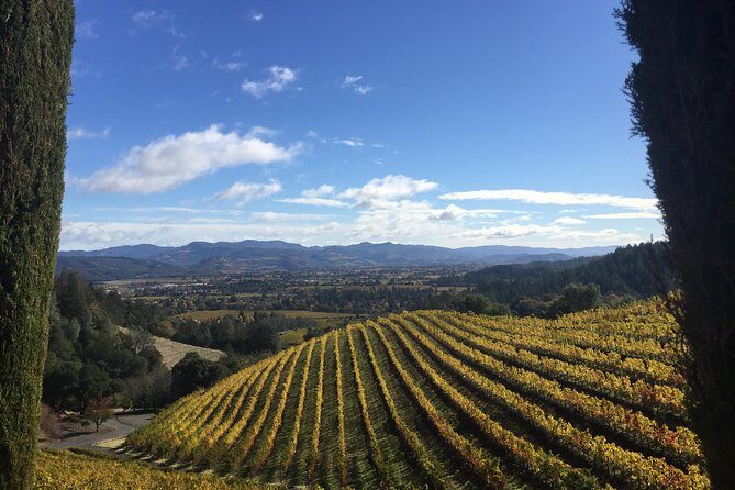 8-Hour, Private Limo Wine Tour to Napa from San Francisco - The Cost & What It Means for You