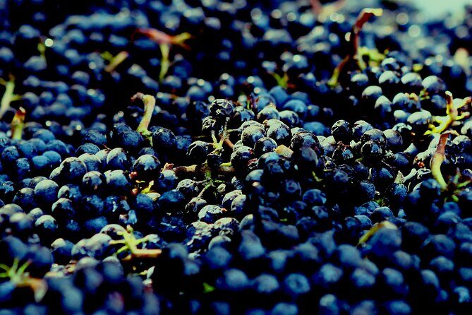 8 Hour Private Tour in Wine Country from San Francisco - FAQ