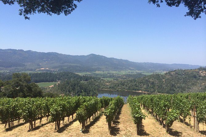 8-Hours Private Limo(up to 8 pass.) Wine Tour of Napa Valley from San Francisco - Transportation: Comfort and Style
