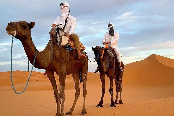 8D Morocco Luxury Private Tour From Casablanca By Imperial Cities - Exploring Chefchaouen and the Roman Marvel of Volubilis