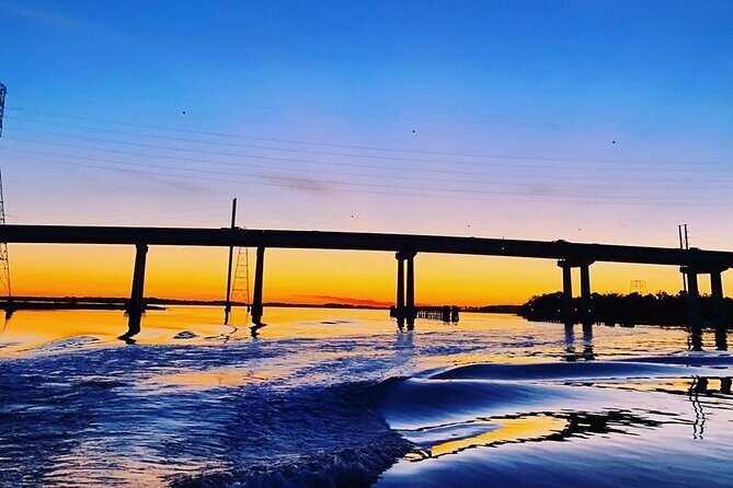 90 Minute Hilton Head Dolphin Tour - The Itinerary: What to Expect