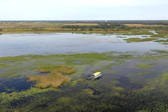 90 Minute Pontoon Cruise in Florida - Who Will Love This Tour?