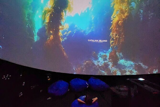 A 360° Immersive Ocean Movie Experience (Catalina Island) - The Value of the Experience