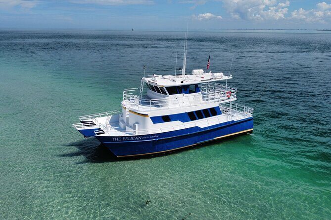A Day on the Bay - Authentic Experiences and Traveler Insights