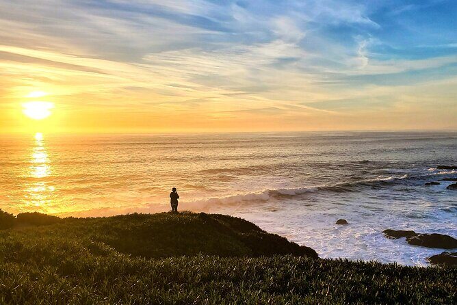 A Self-Guided Audio Tour Around Bodega Head - Authenticity and Authentic Local Stories