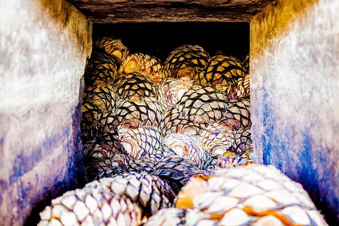 A unique tour! Visiting Hacienda Casa herradura From Guadalajara - Who will love this tour?