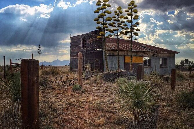 A Wine Tasting Experience in the Vineyards of the Desert - FAQ