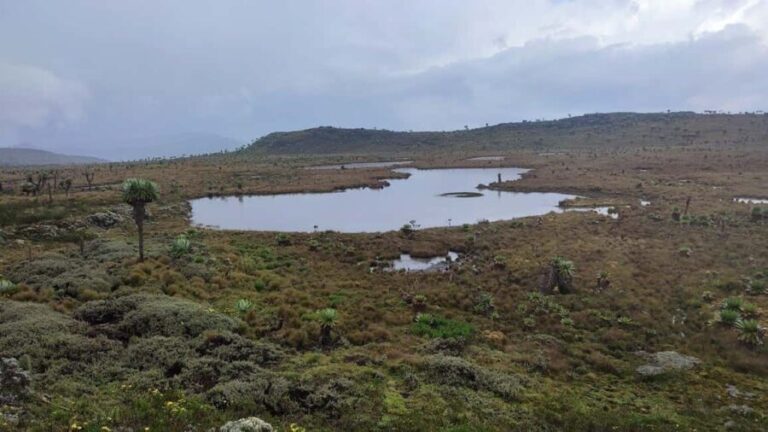 Aberdares: Seven Ponds Guided Hike with Views - Who Will Love This Experience?
