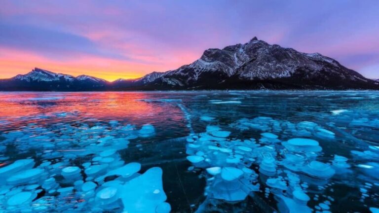 Abraham ice bubble lake/Sunwapta Falls Peyto Lake Bow Lake - Practical Details and What to Expect
