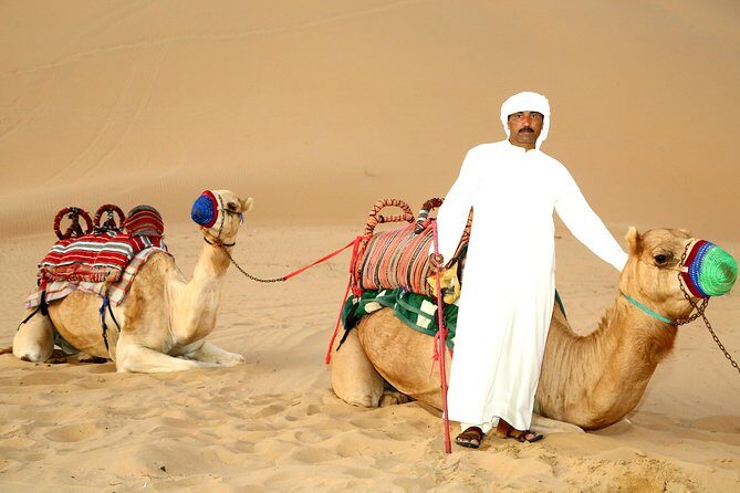 Abu Dhabi Afternoon Desert Safari and BBQ Dinner - The Sum Up