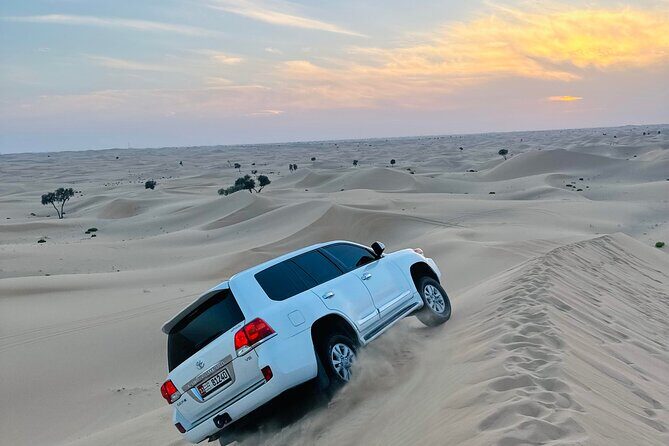 Abu Dhabi: Evening Desert Safari with Camel Ride, BBQ & Live Show - An In-Depth Look at the Abu Dhabi Desert Safari