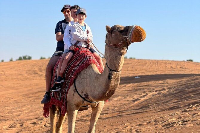 Abu Dhabi morning desert safari - Private car - The Dune Bashing Experience