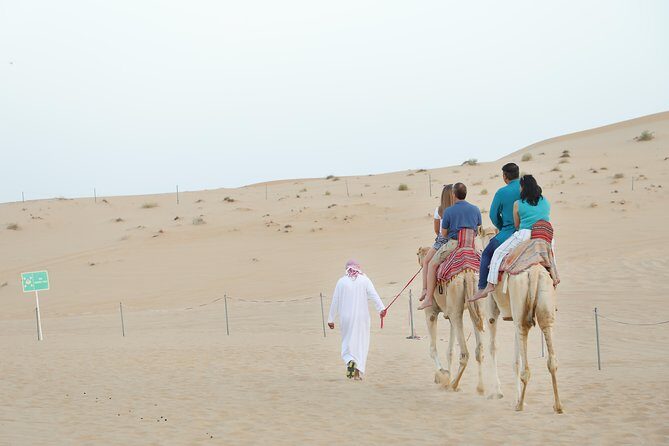 Abu Dhabi Morning Desert Safari - Authentic Experiences and Reviewer Insights