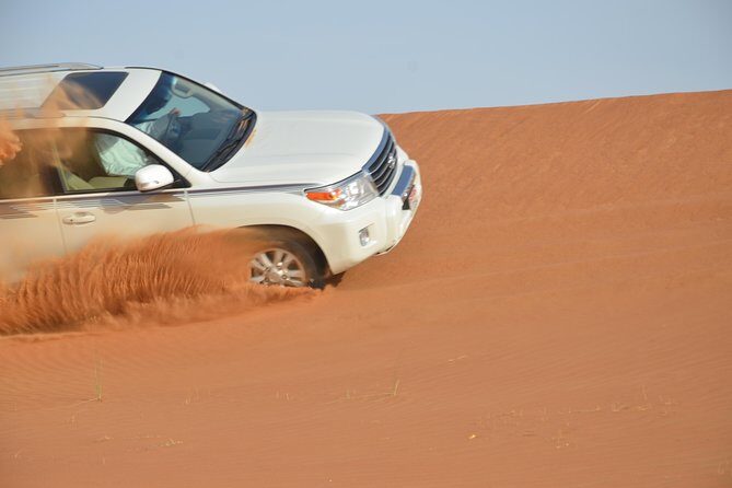 Abu Dhabi Morning Safari - Who Is This Tour Best For?
