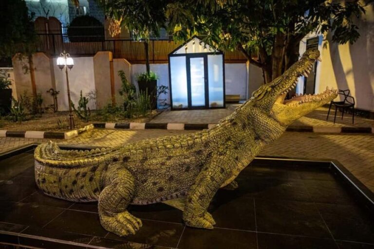 Abuja: Discovery Museum Tour with Hotel Pickup - What to Expect During Your Visit
